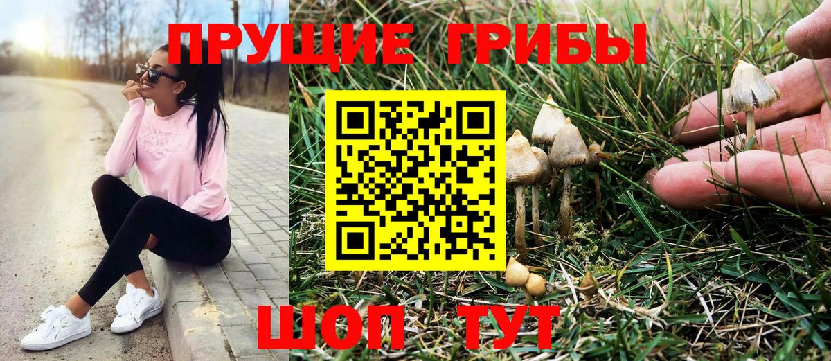 Галлюциногенные грибы Cubensis Владимир