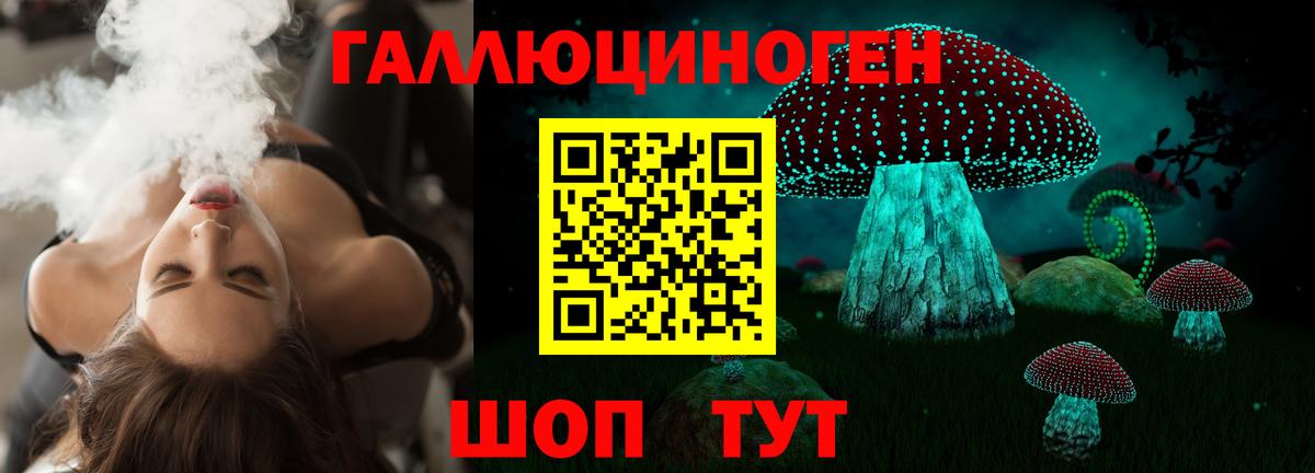 Галлюциногенные грибы GOLDEN TEACHER  купить   Вход с VPN  Владимир  Галлюциногенные грибы мицелий 
